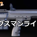 【ディビジョン2】全武器種一覧・特性まとめ(初心者必見) 29