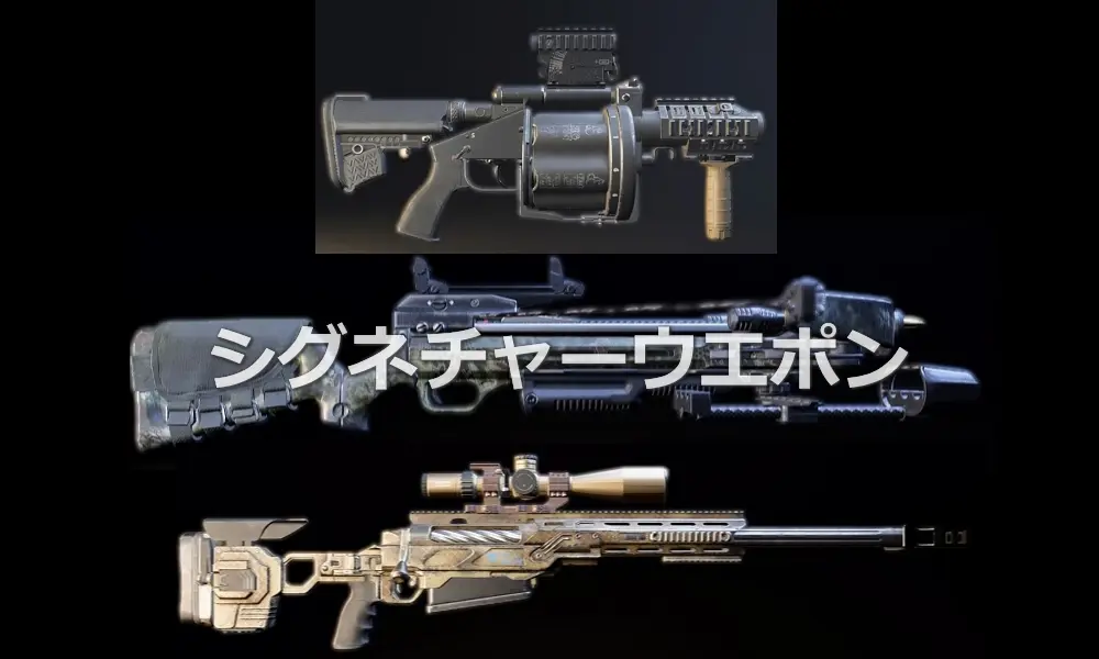 【ディビジョン2】シグネチャーウエポン一覧 4